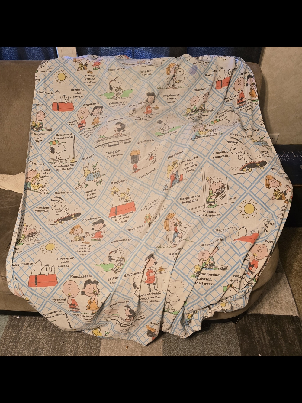 Vintage Peanuts Snoopy Happiness Is Twin Fitted Sheet Charlie Brown Blue Plaid
